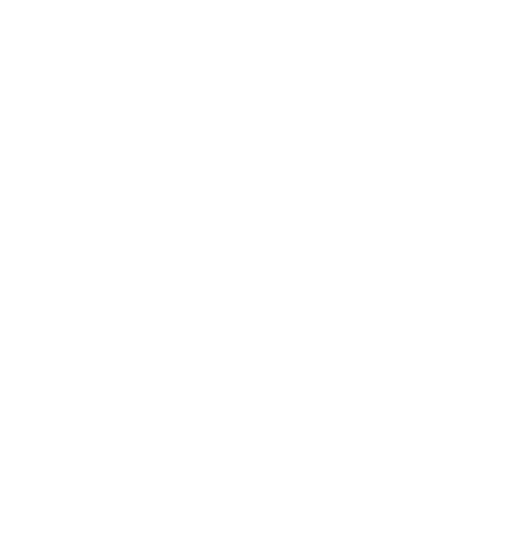 Equal housing lending opportunity with Precision Capital