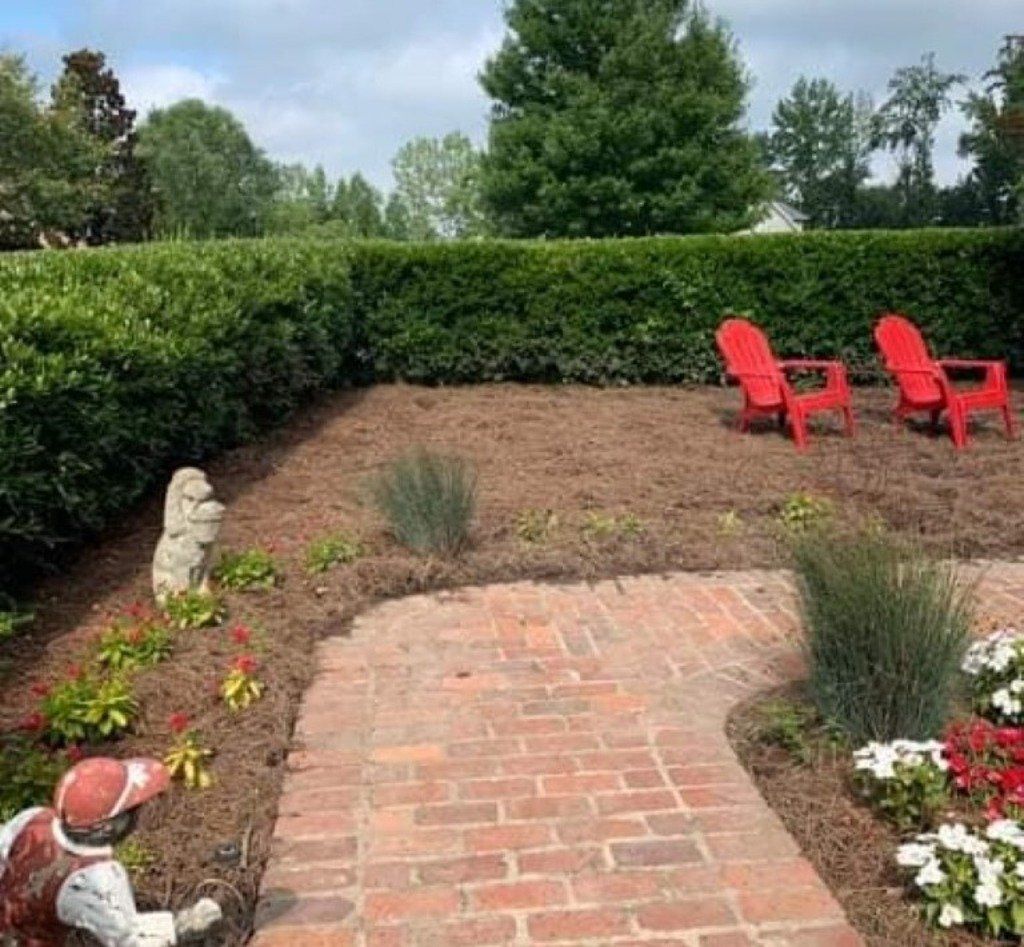 After Tree Stump Removal in Garden