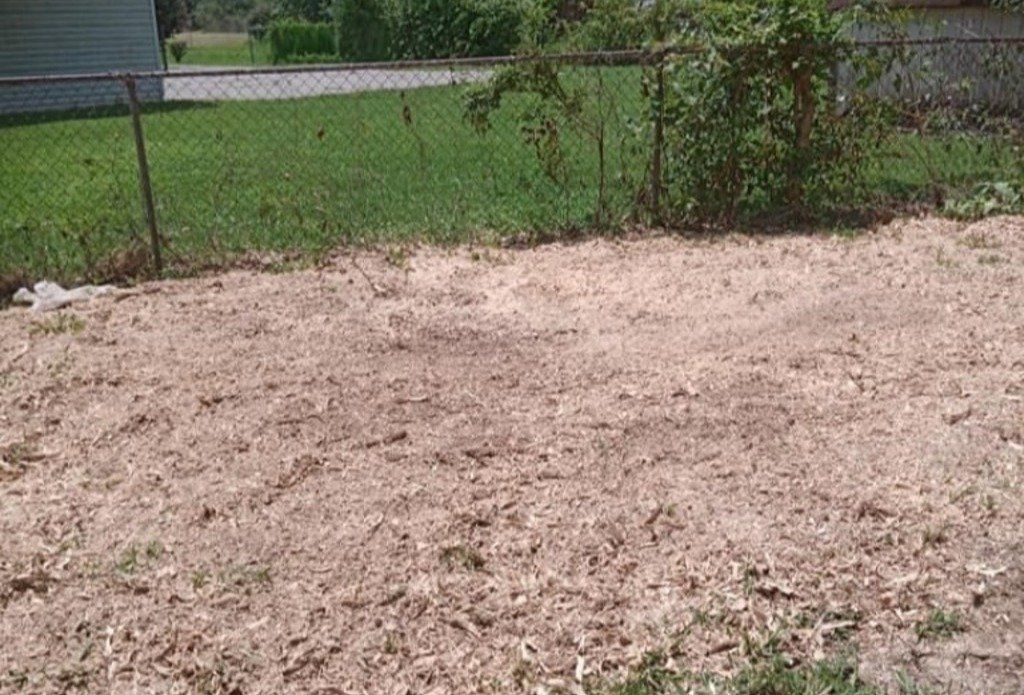 After Tree Stump Grinding