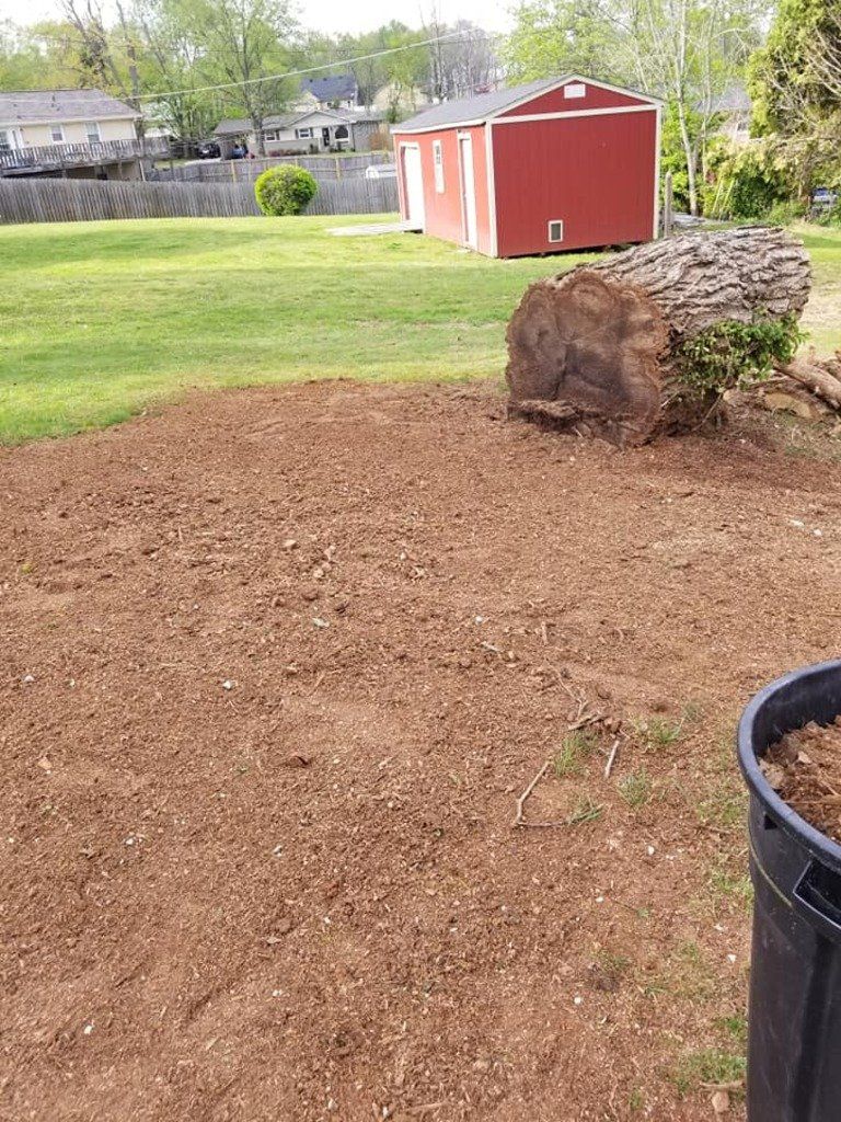 Stump Cleanup