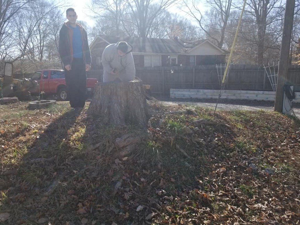 Checking Tree Stump