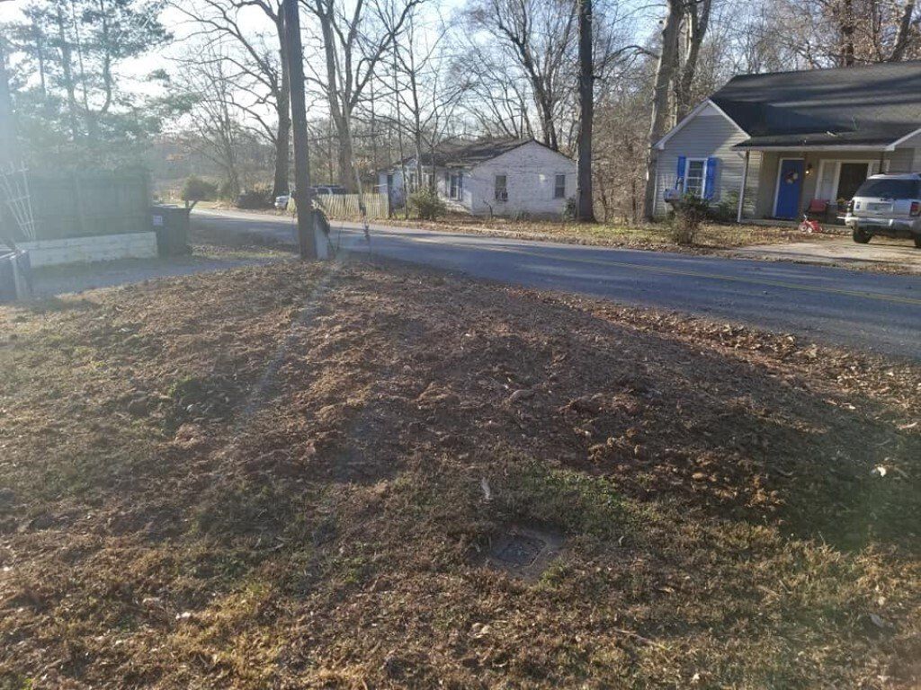After Stump Removal