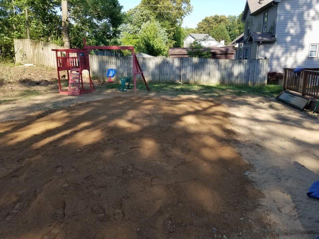 After Tree Stump Removal