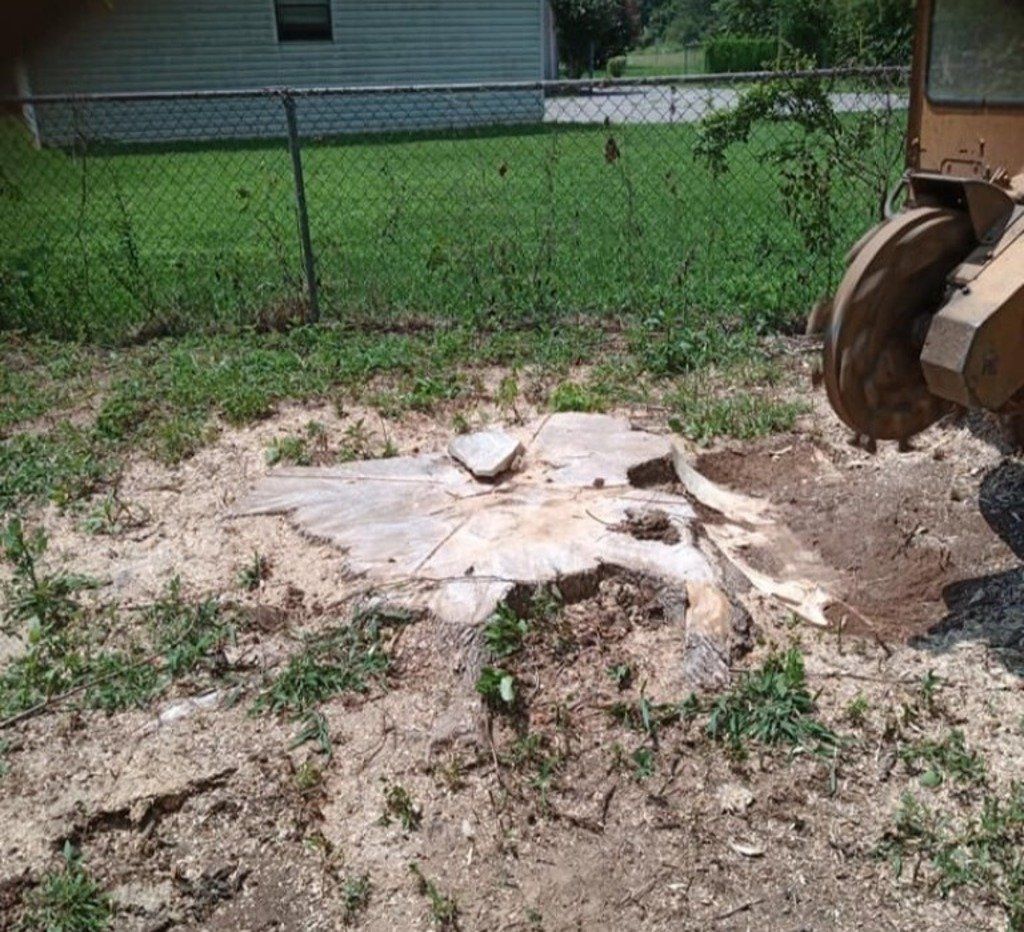 Grinding Tree Stump