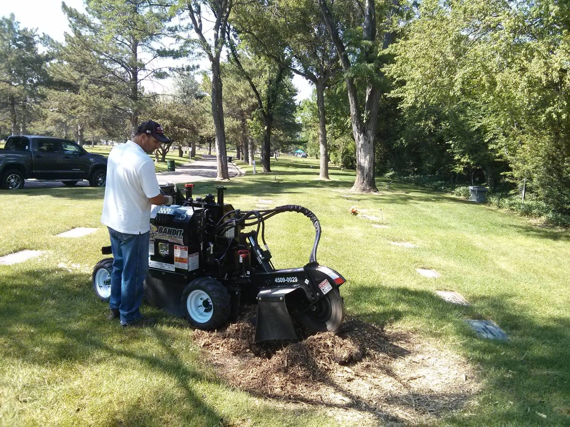 Utah Stump Grinding LLC - Top Rated Tree Service & Landscaper - Salt ...