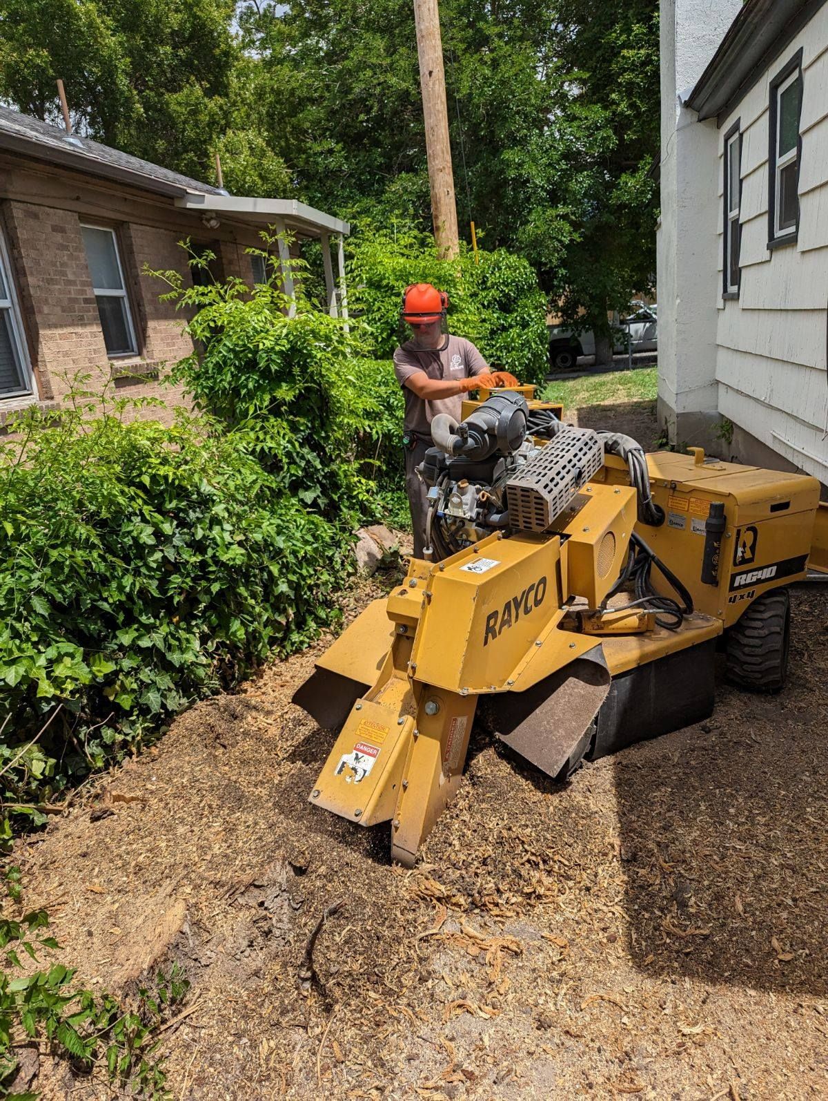 Stump Grinding and Tree Service - Salt Lake City, Utah