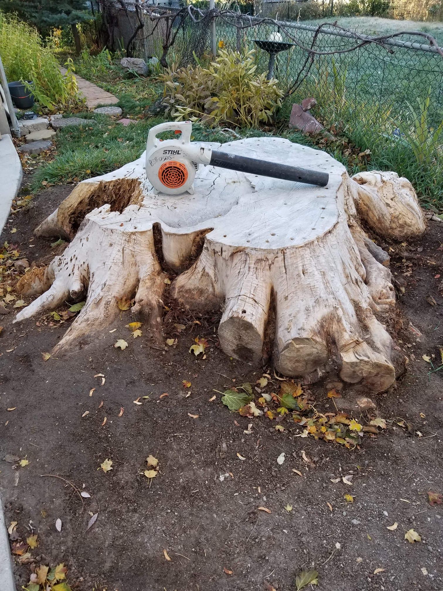 Large tree stump turned into a garden seat with a log armrest and small circular orange sign, in a yard.
