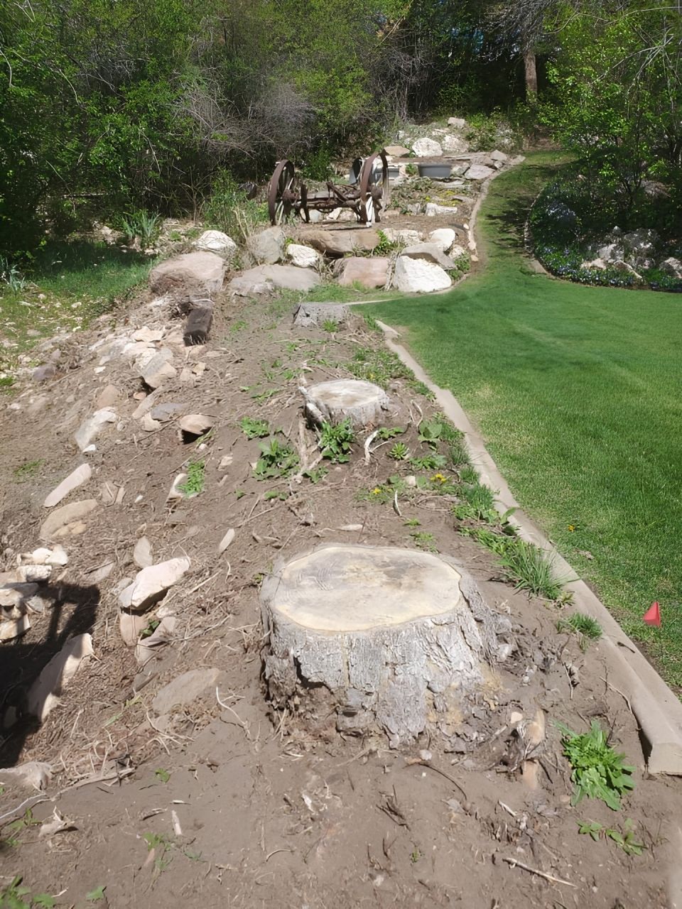 Rocky dirt path with tree stumps, bordered by grass and shrubs in a garden area