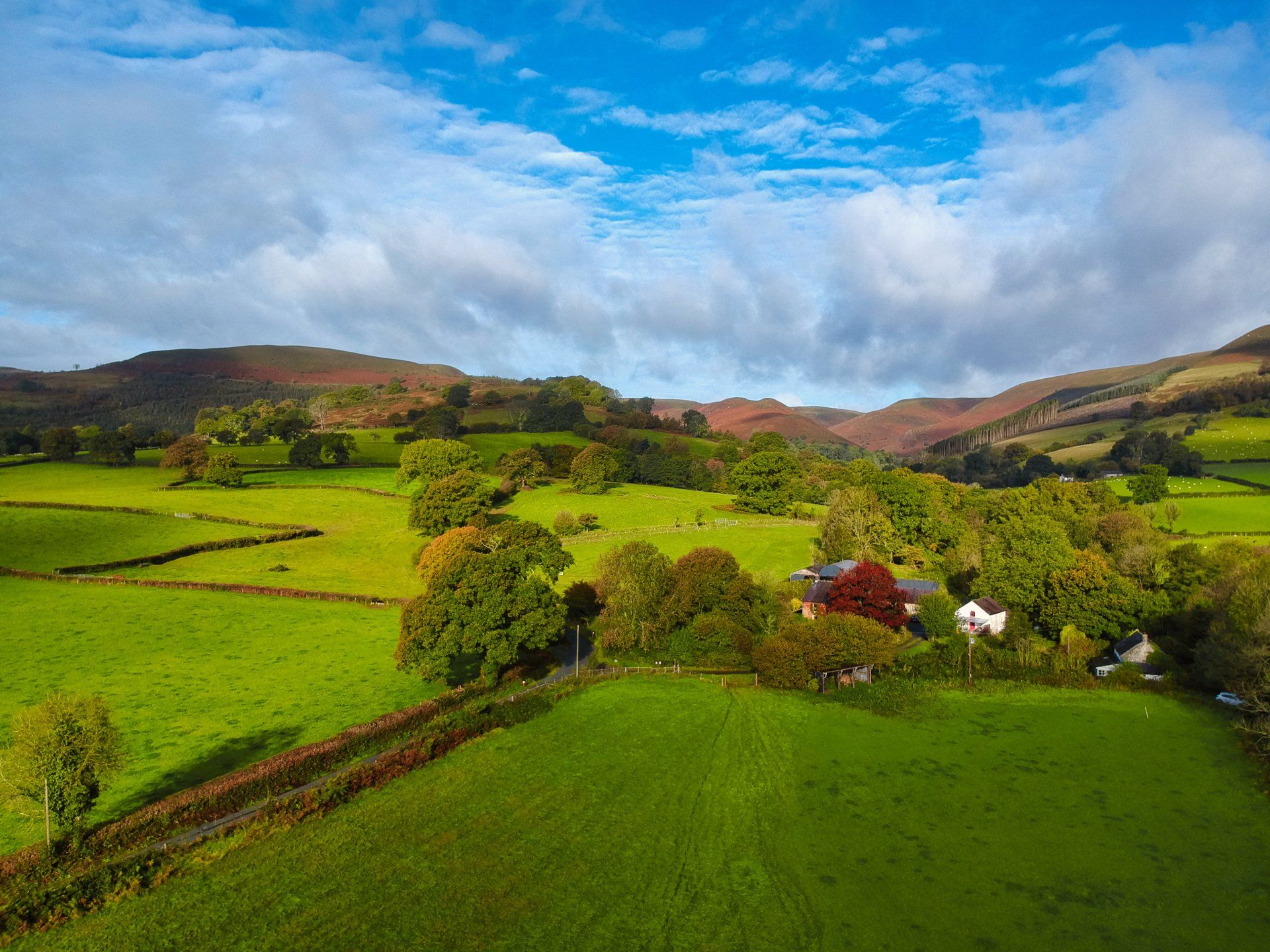 Cambrian Escapes holiday cottages 