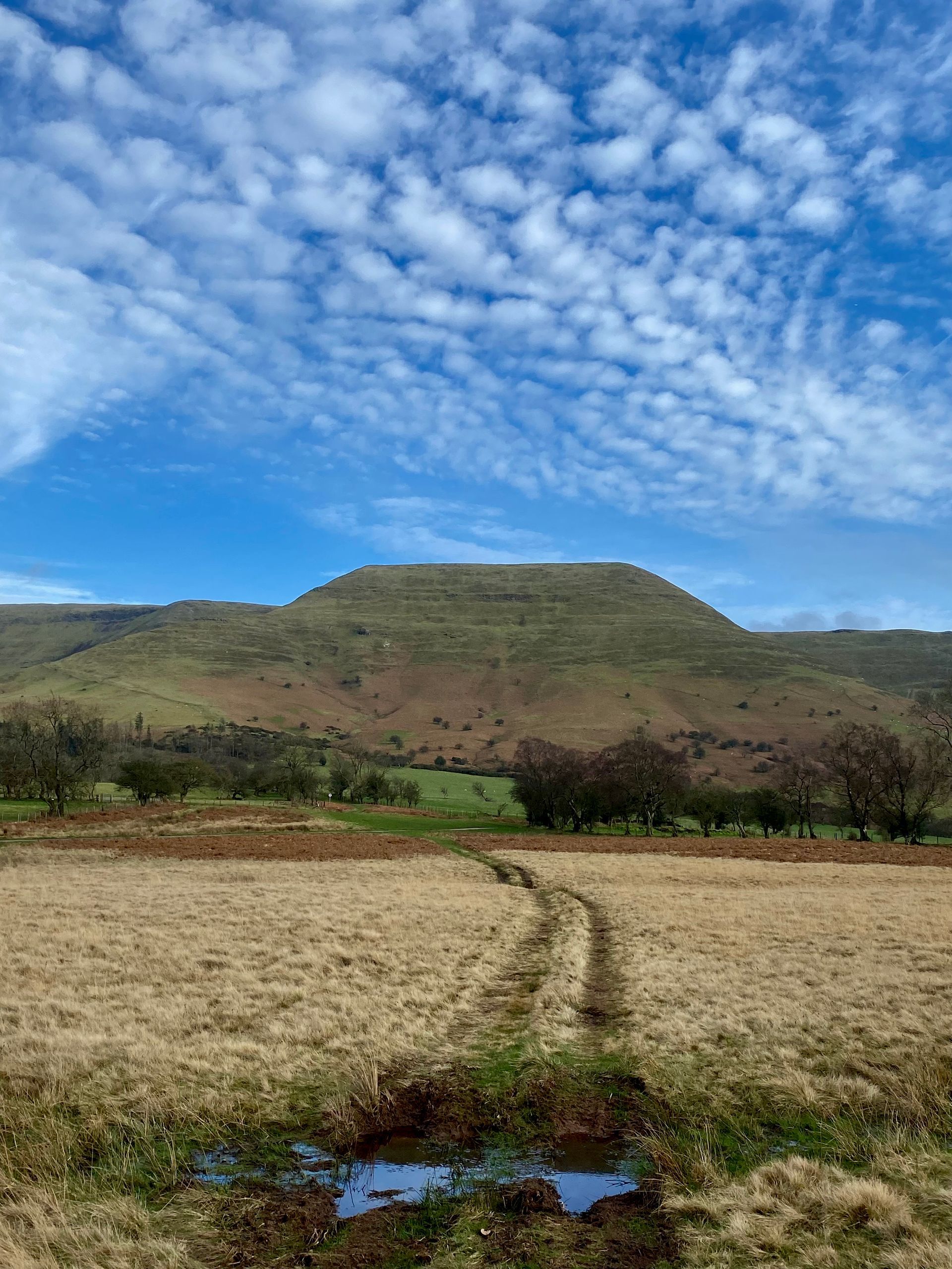 Y Das, Talgarth