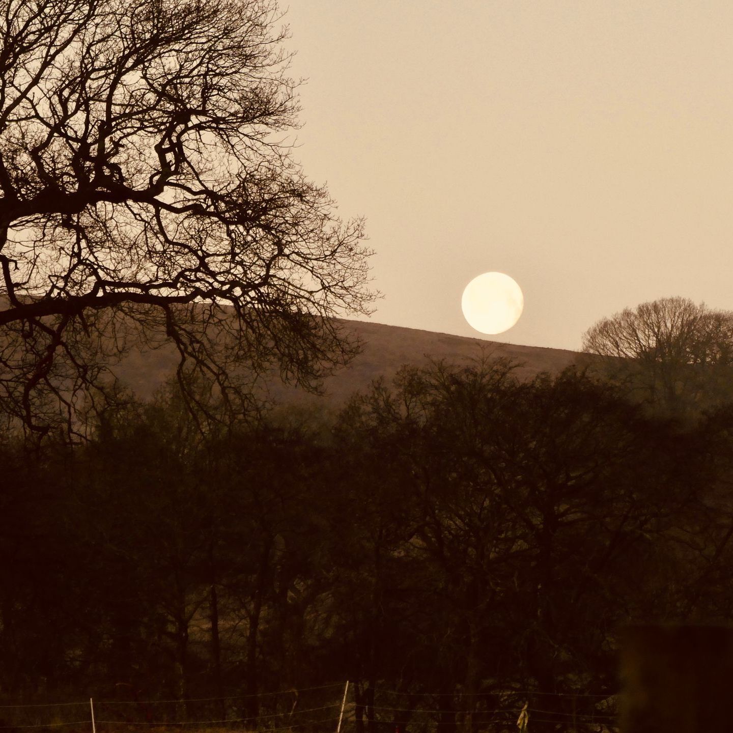 121 bespoke experiences Brecon Beacons Cambrian Mountains - swim forage stargaze