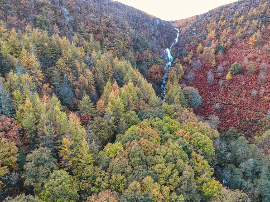 Cwm Rhaeadr in autumn near Cilycwm