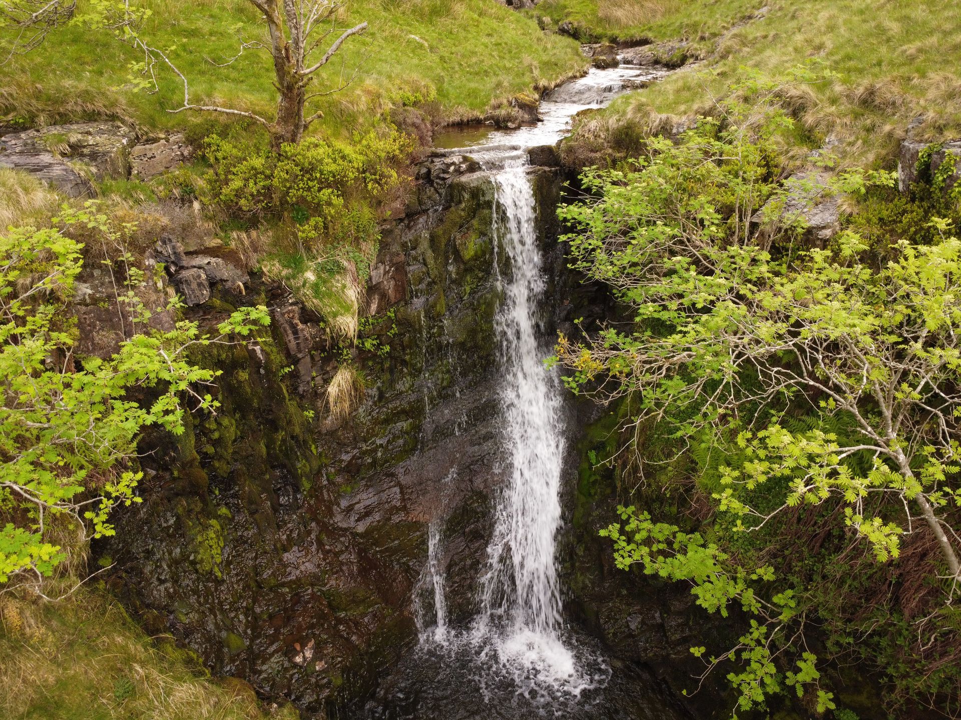 Llyn y Fan Fach 