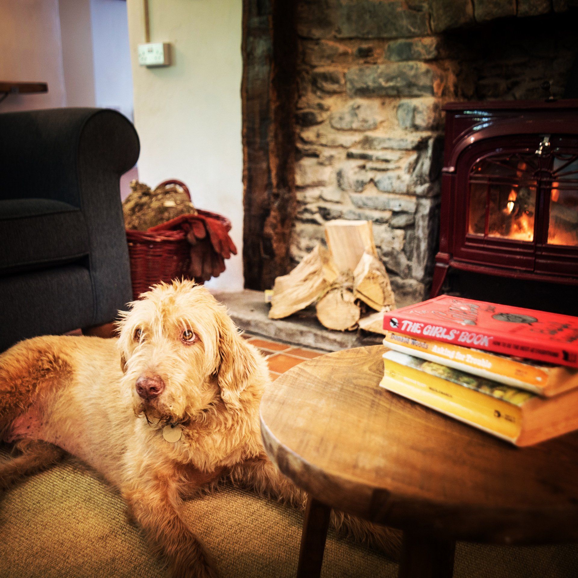 dog friendly cottage Cambrian Escapes 