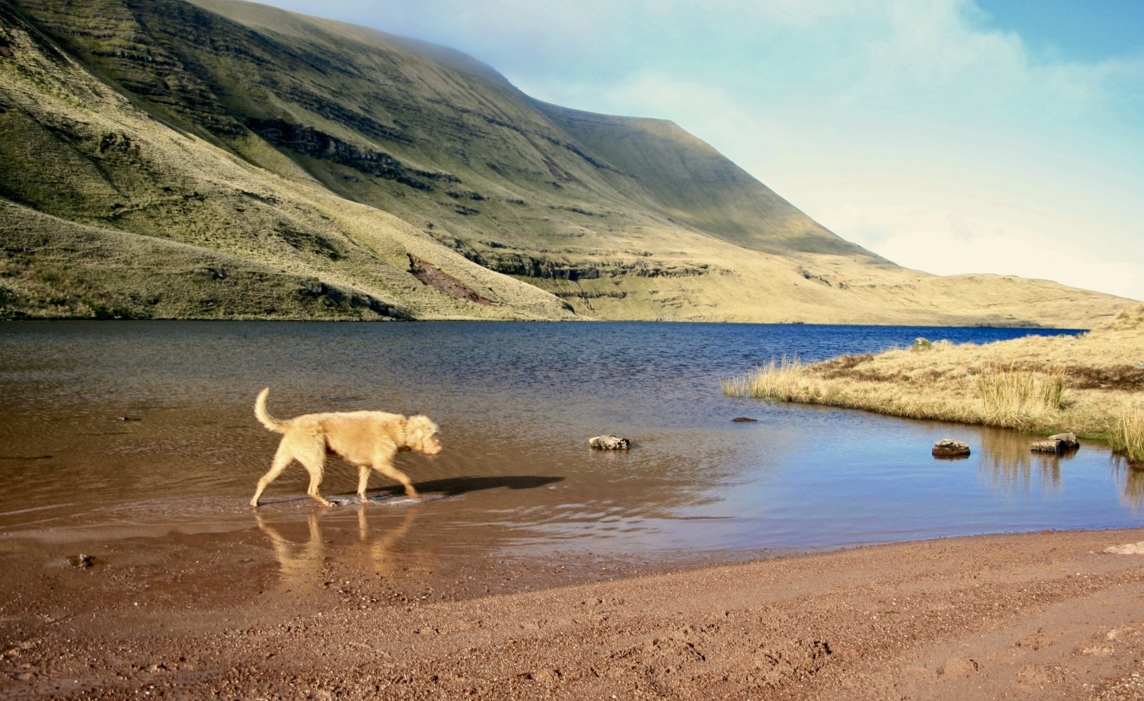 Llyn y Fan Fach