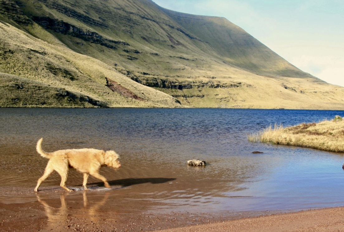 Llyn y Fan Fawr Brecon Beacons