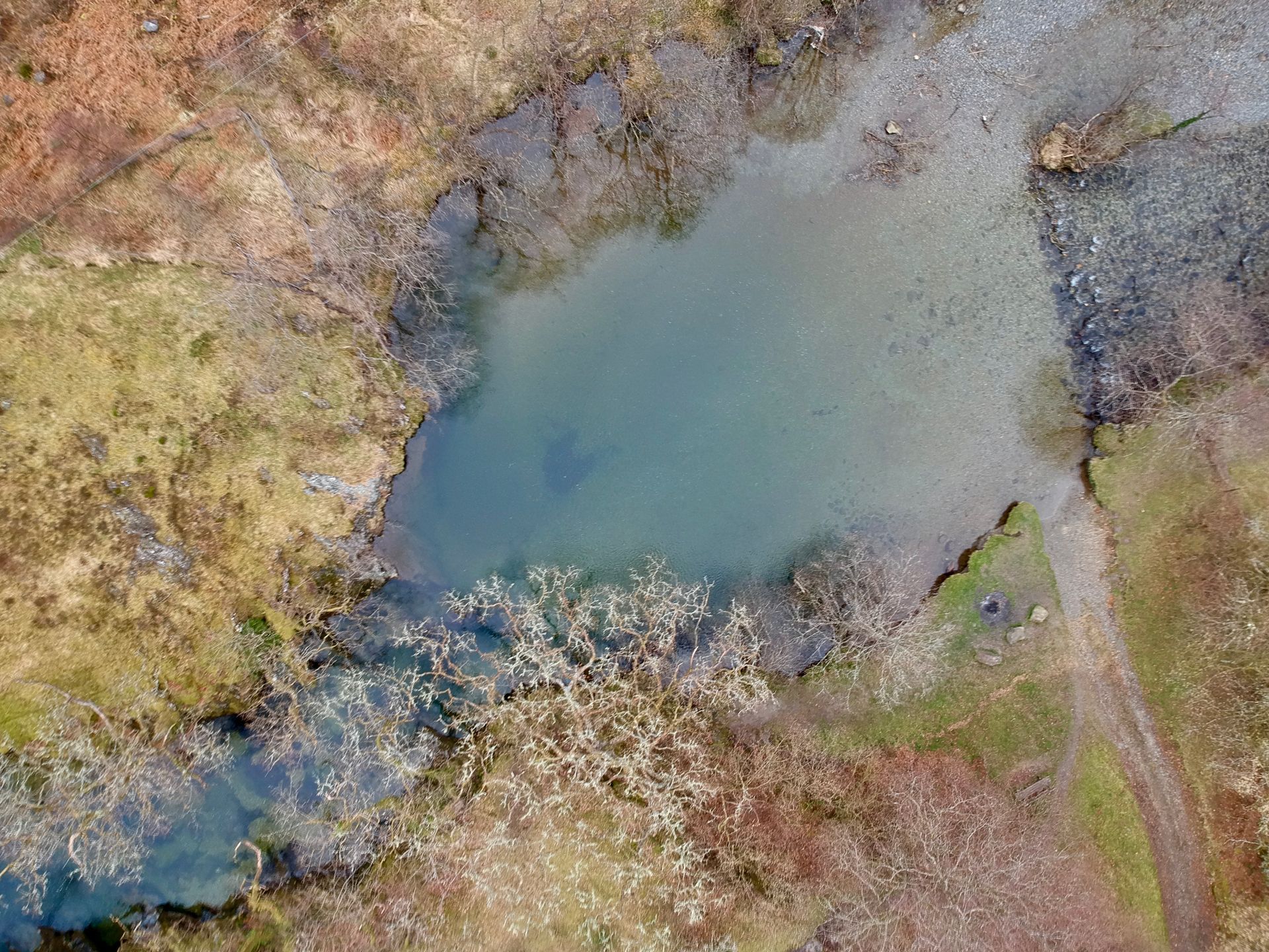 Wild swimming Cambrian Mountains 