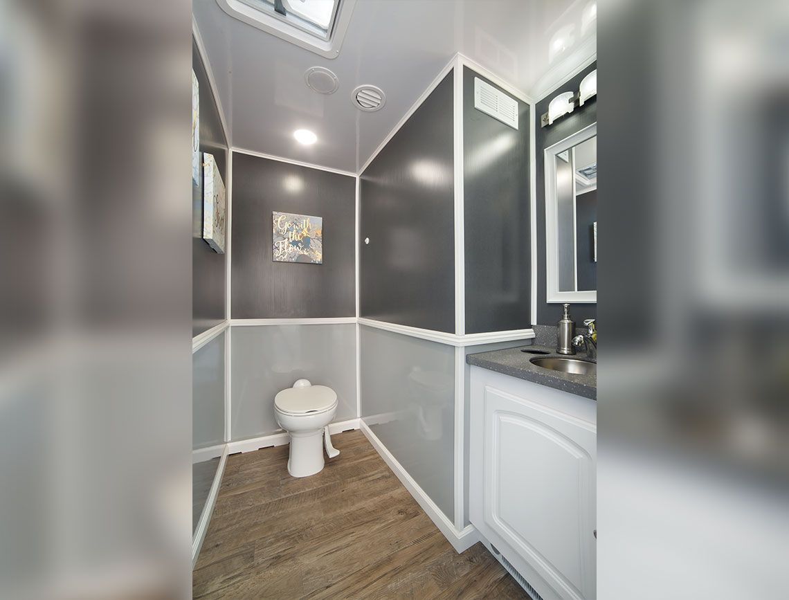 Small bathroom with toilet, vanity sink, and gray walls with wood-look flooring.