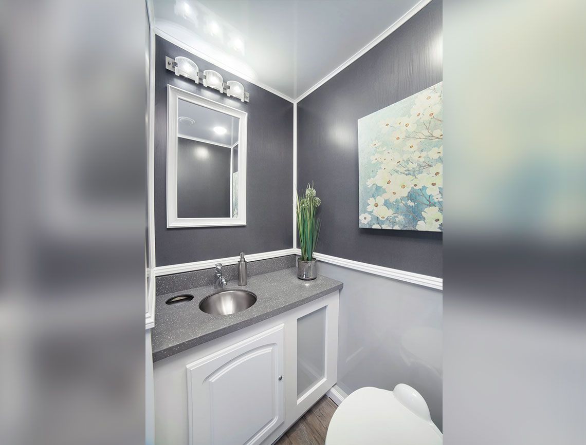 Small gray bathroom vanity with mirror, sink, plant, and wall art in a narrow space.