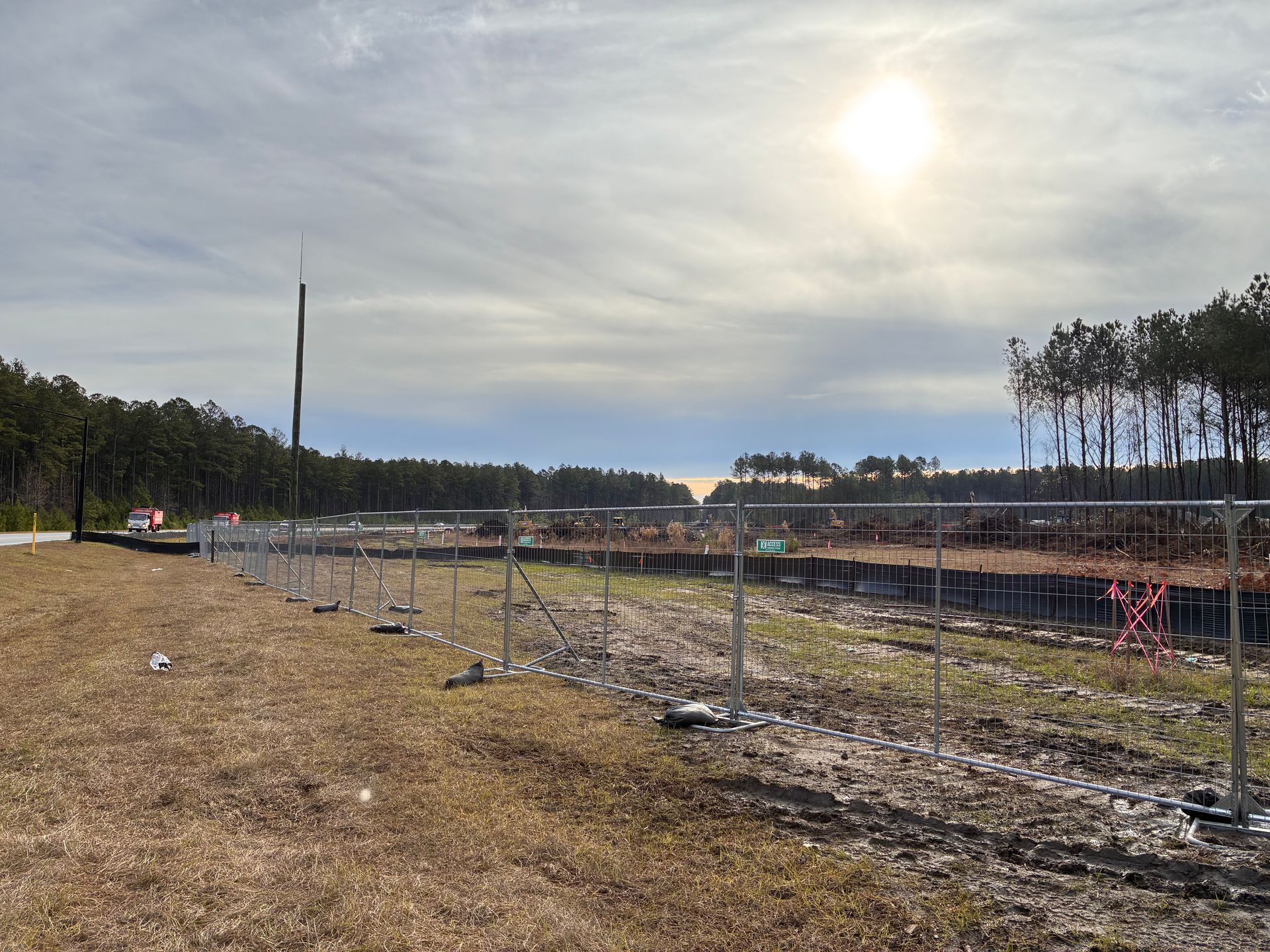 Young orchard with rows of saplings under a cloudy sky and bright sun, in a fenced field