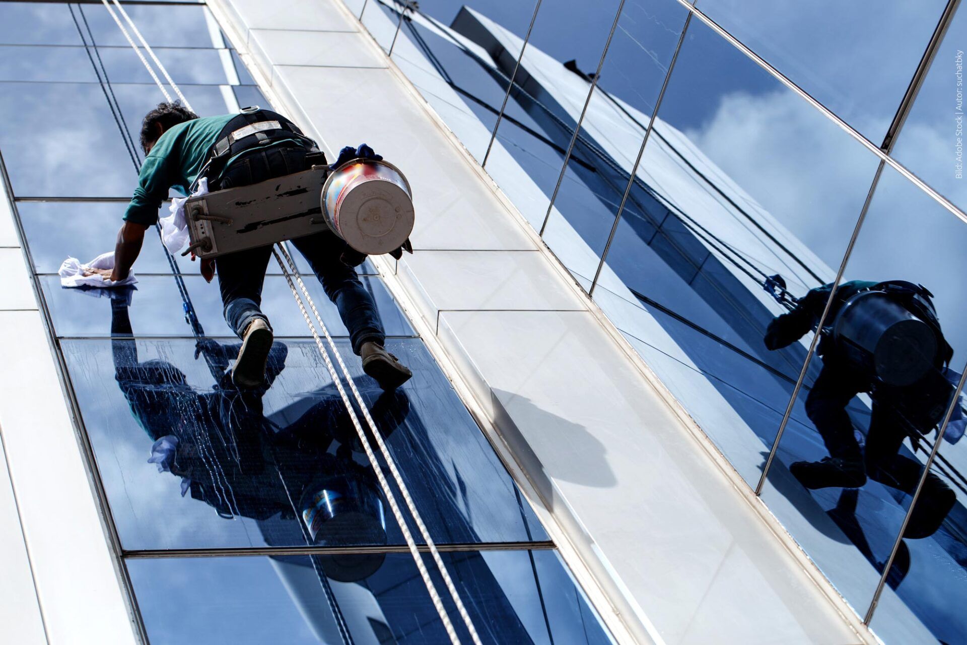 Nemesis Service UG Fensterreinigung