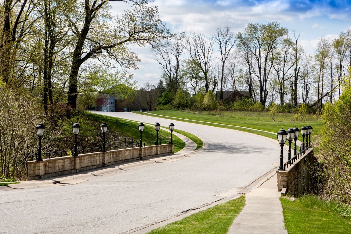 Paved road with lamp posts curving through a grassy area, leading toward houses under a blue sky.