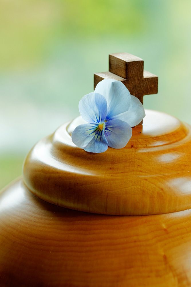 One Lonely Blue Violet Resting On Cremation Urn Lid Isolated On Greenish Background With Copy Space — Funeral Extras & Urns in The Entrance, NSW