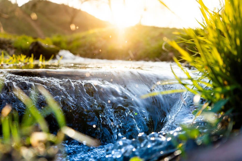 Water Flowing through Grass — Explore Our Services For Cremation in Sydney, NSW