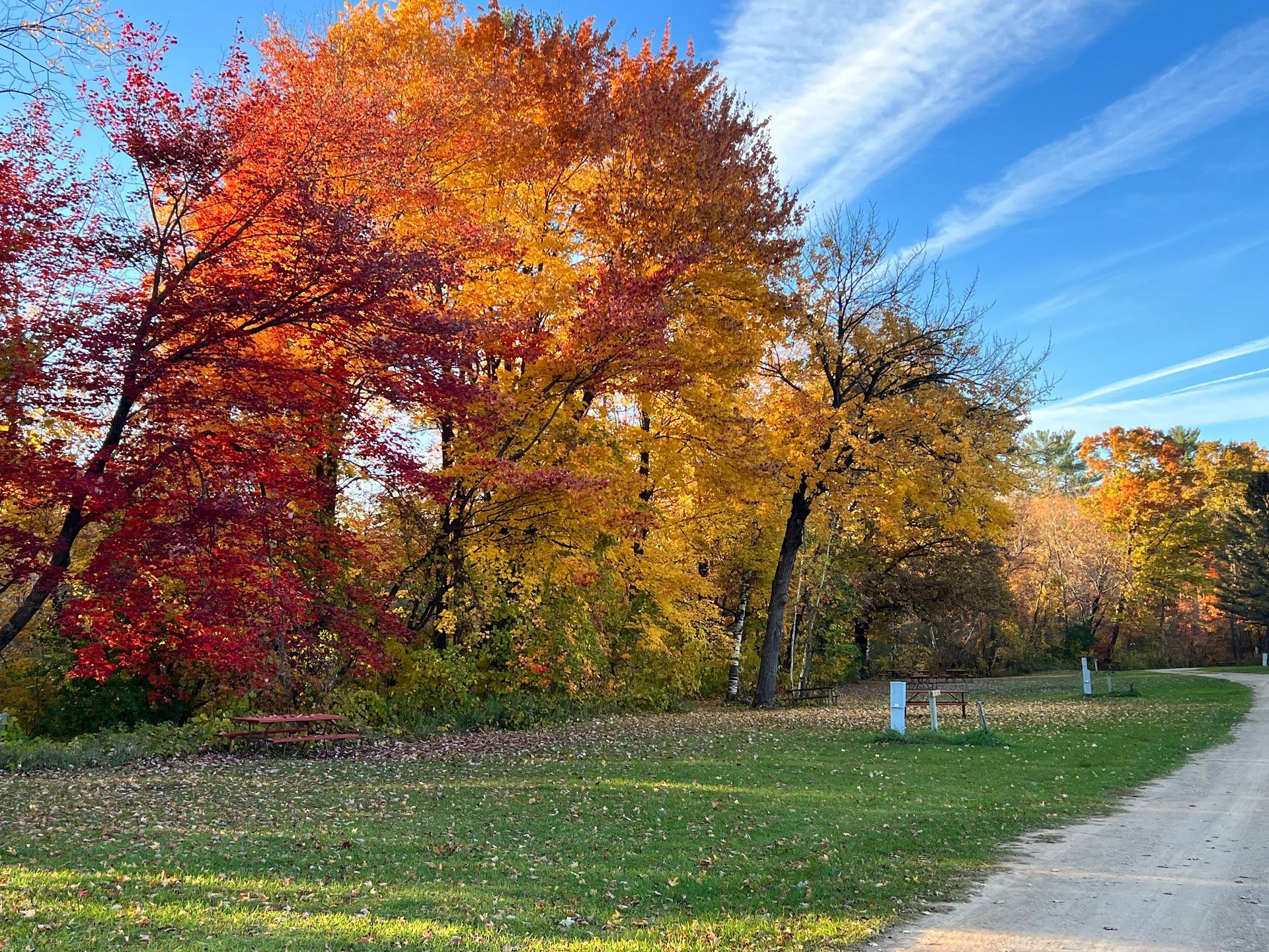 A dirt road going through a park with trees that are changing colors.