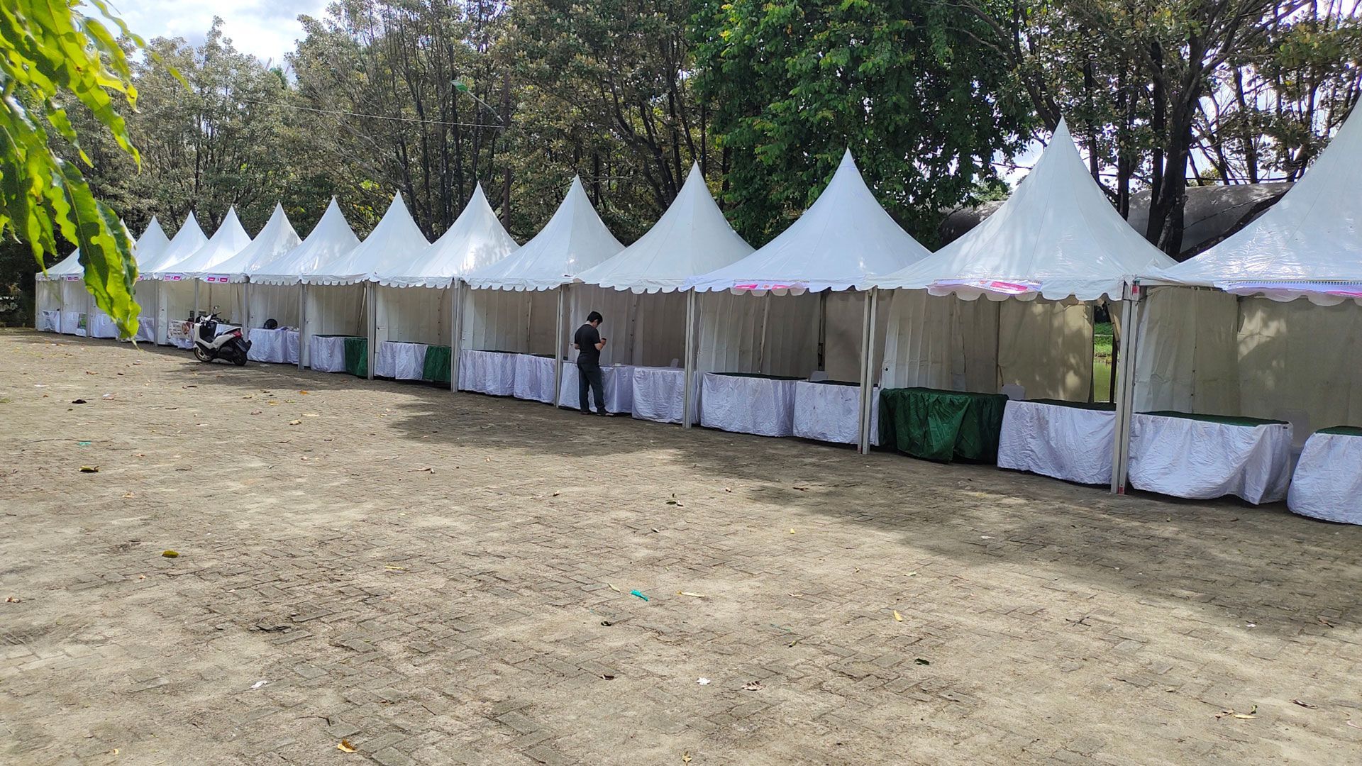 Row of white outdoor event tents with pointed tops on a grassy field, with trees in the background