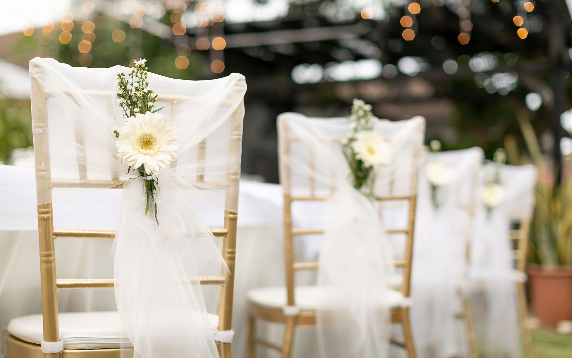 A row of chairs decorated with white flowers and tulle for a wedding ceremony.