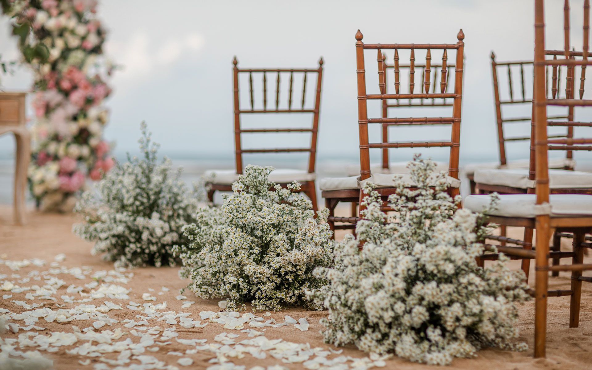A row of chairs decorated with white flowers on a beach.