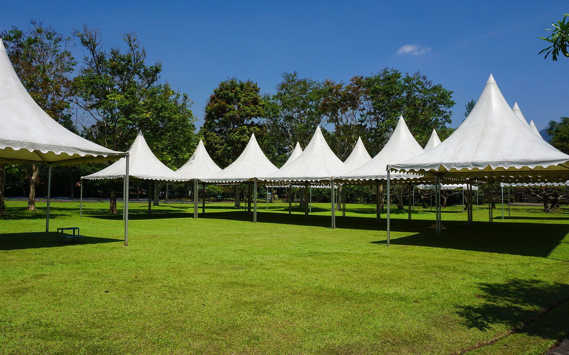 A row of white tents are sitting on top of a lush green field.