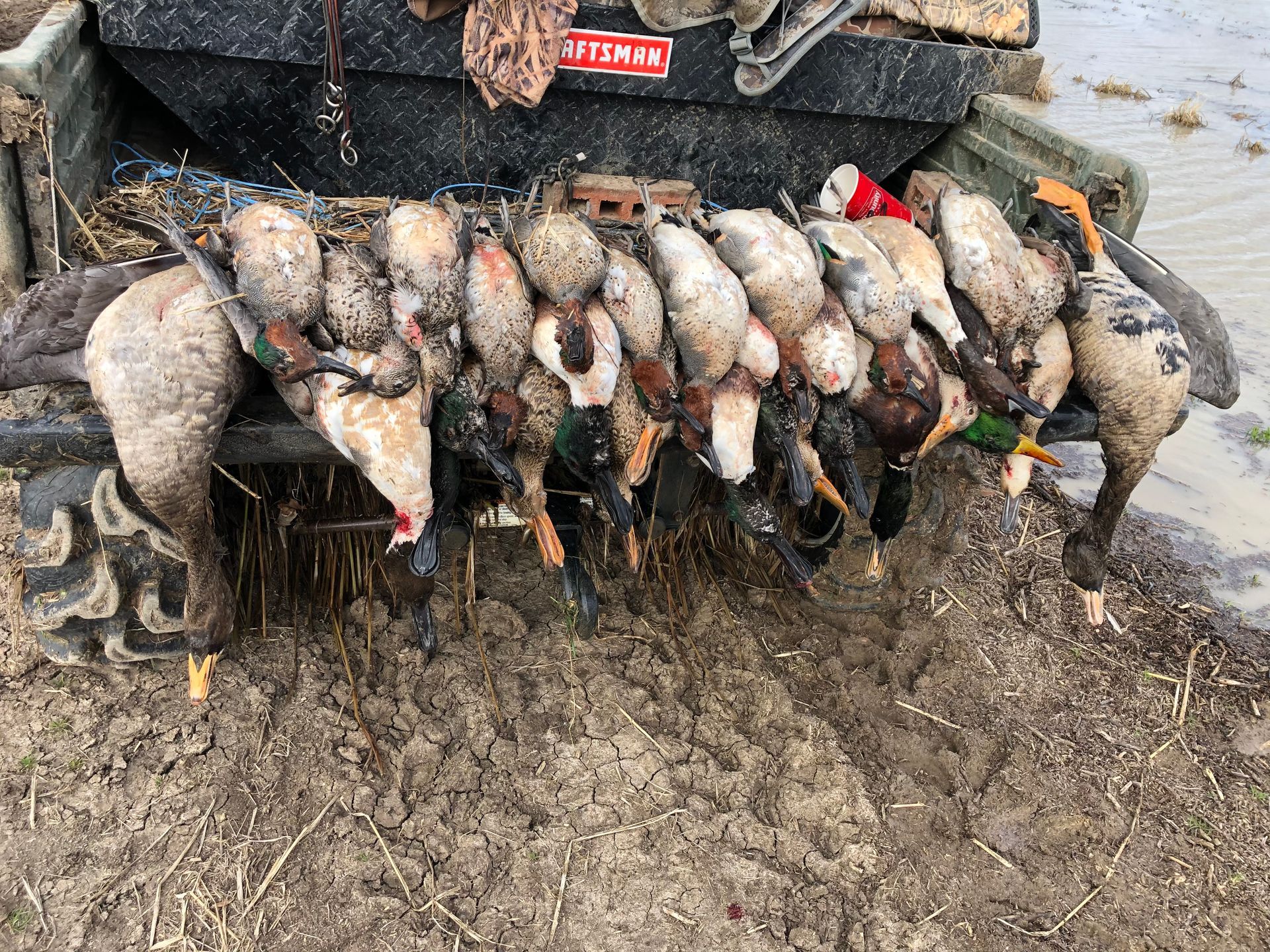 duck lease SEMO