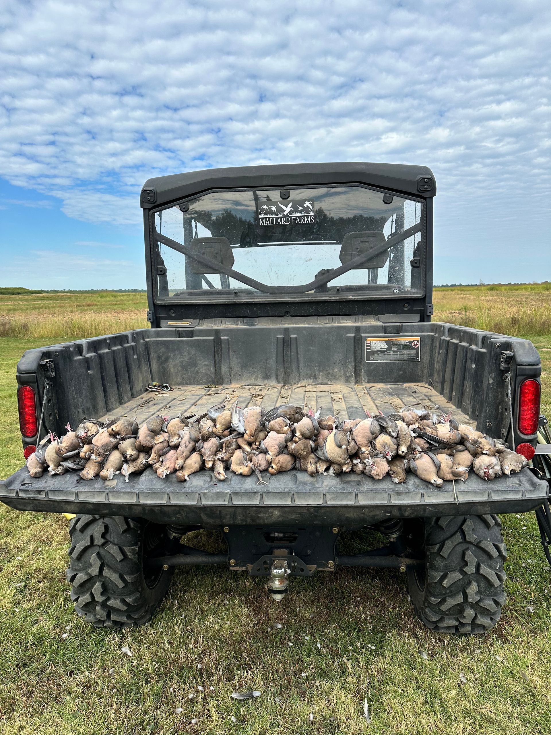 SE Missouri dove hunting