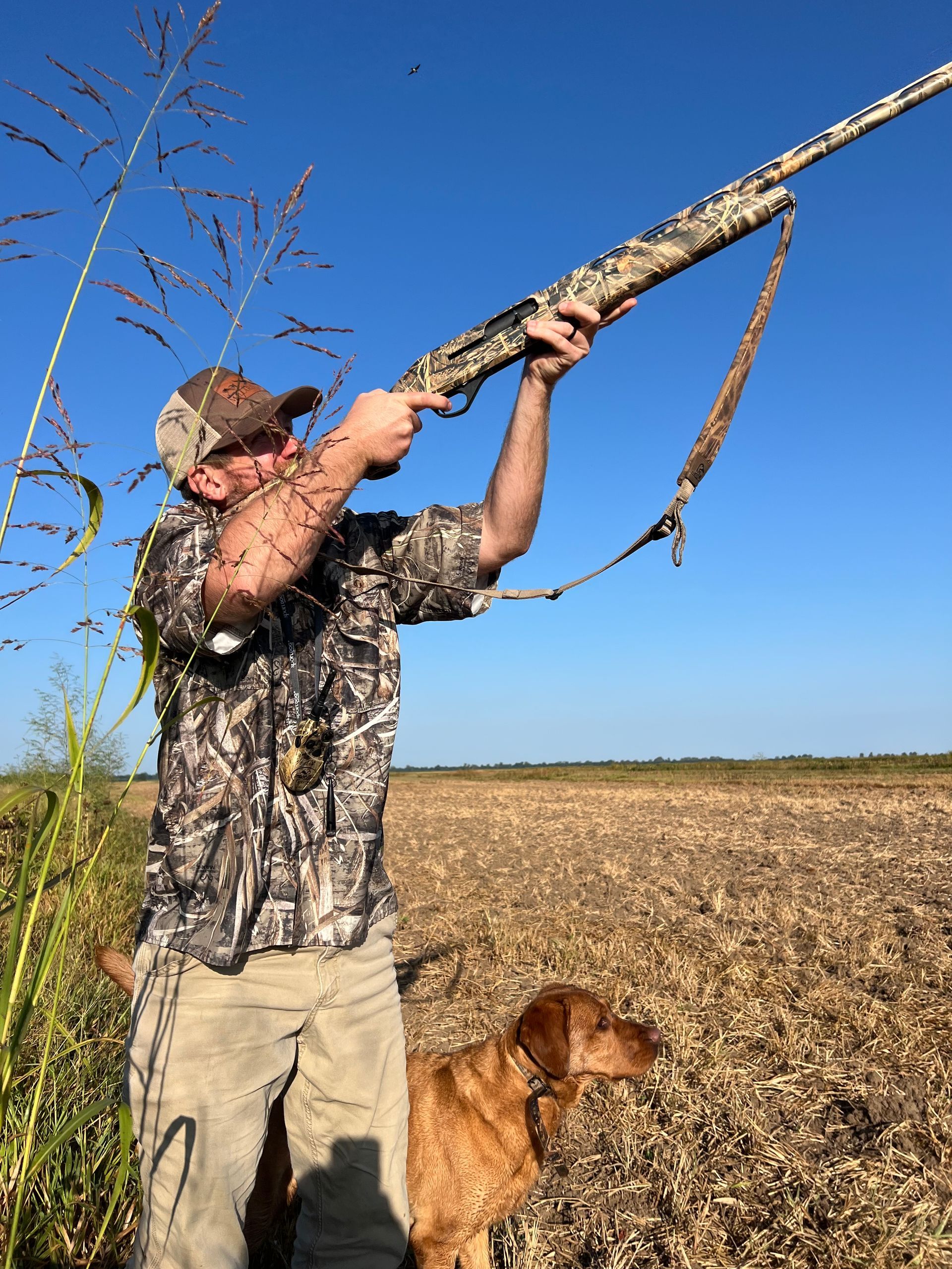 dove hunts Missouri