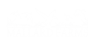Mallard Farms of SE Missouri Logo
