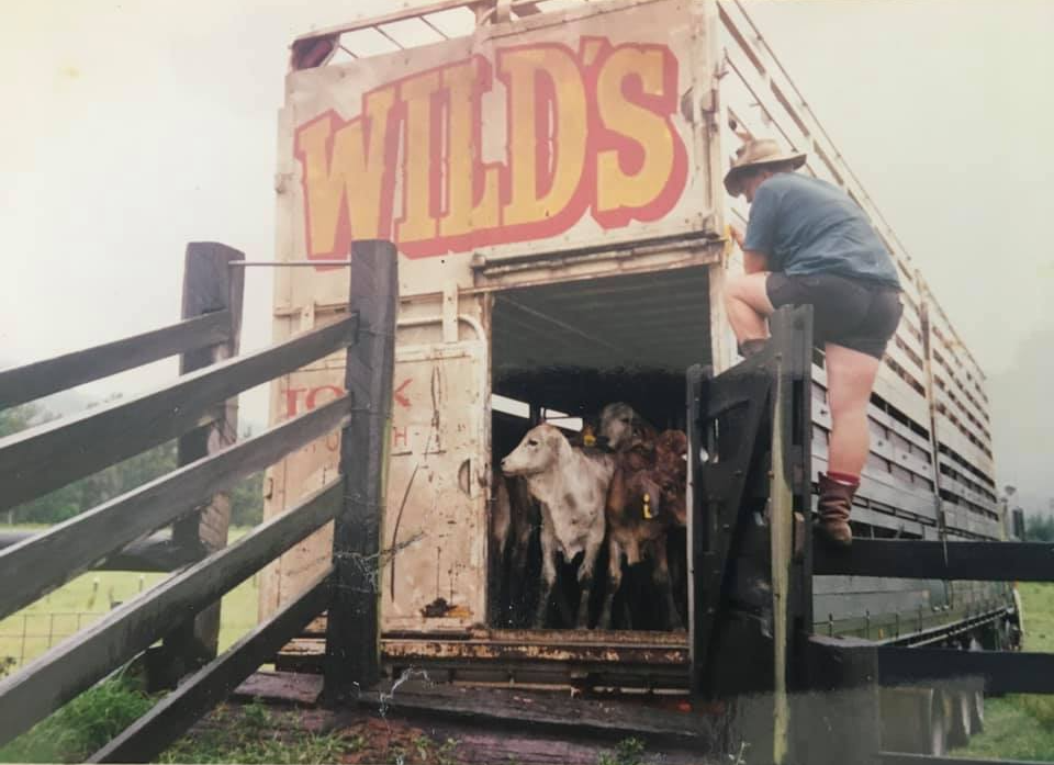 About Us Wild’s Livestock Transport