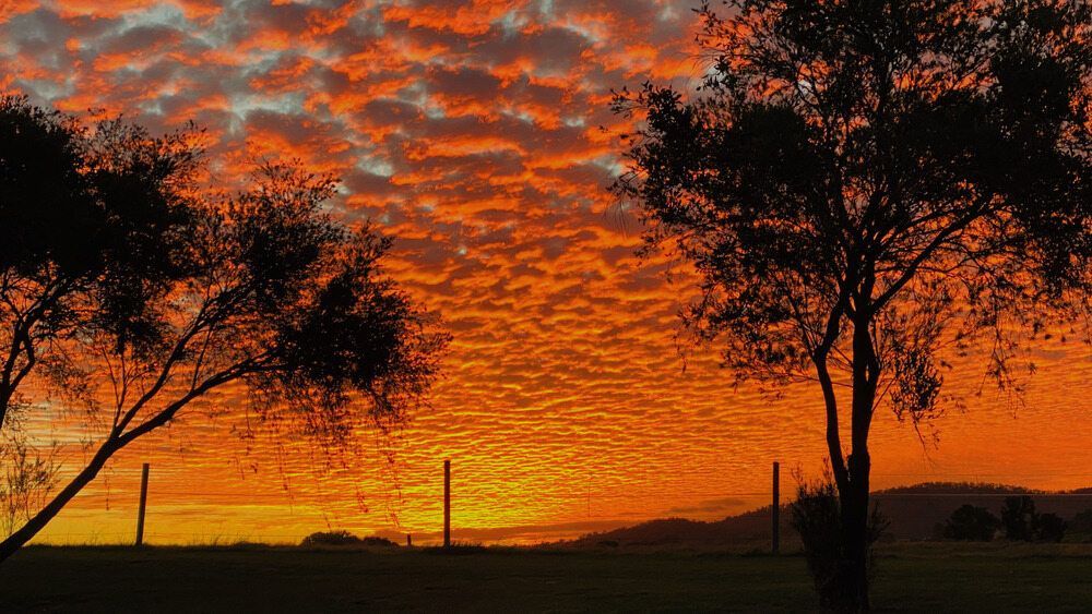 A Sunset With Trees in the Foreground and a Fence in the Background — Empowering You Disability Services In Gympie, QLD