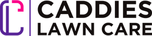 Caddies Lawn Care In Coffs Harbour Caddies Lawn Care In Coffs Harbour