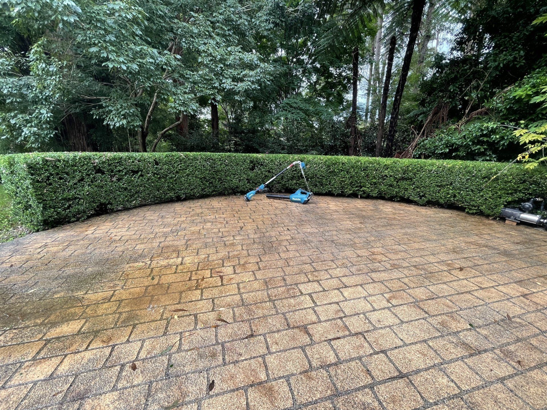 Curved Edge Privacy Hedge With Hedge Trimming — Lawn Care in Coffs Harbour, NSW