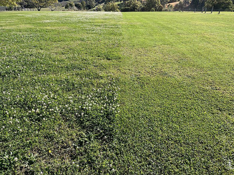 Commercial Lawn — Lawn Care in Coffs Harbour, NSW