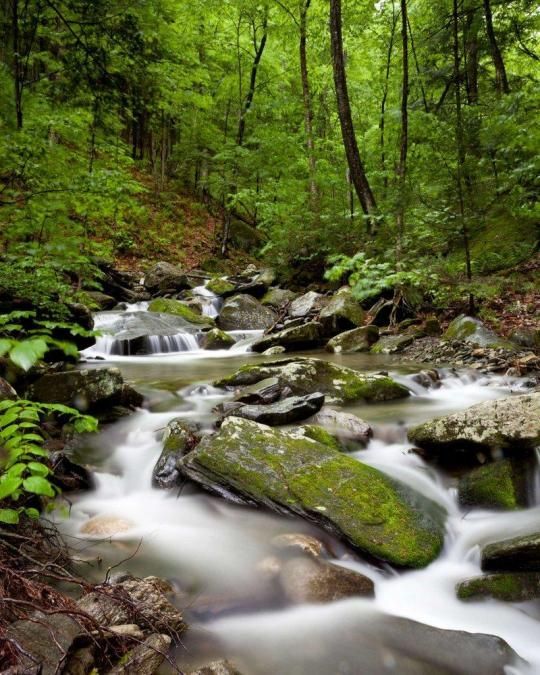 There's so much to explore in the area surrounding Four Columns Inn & 1832 Tavern