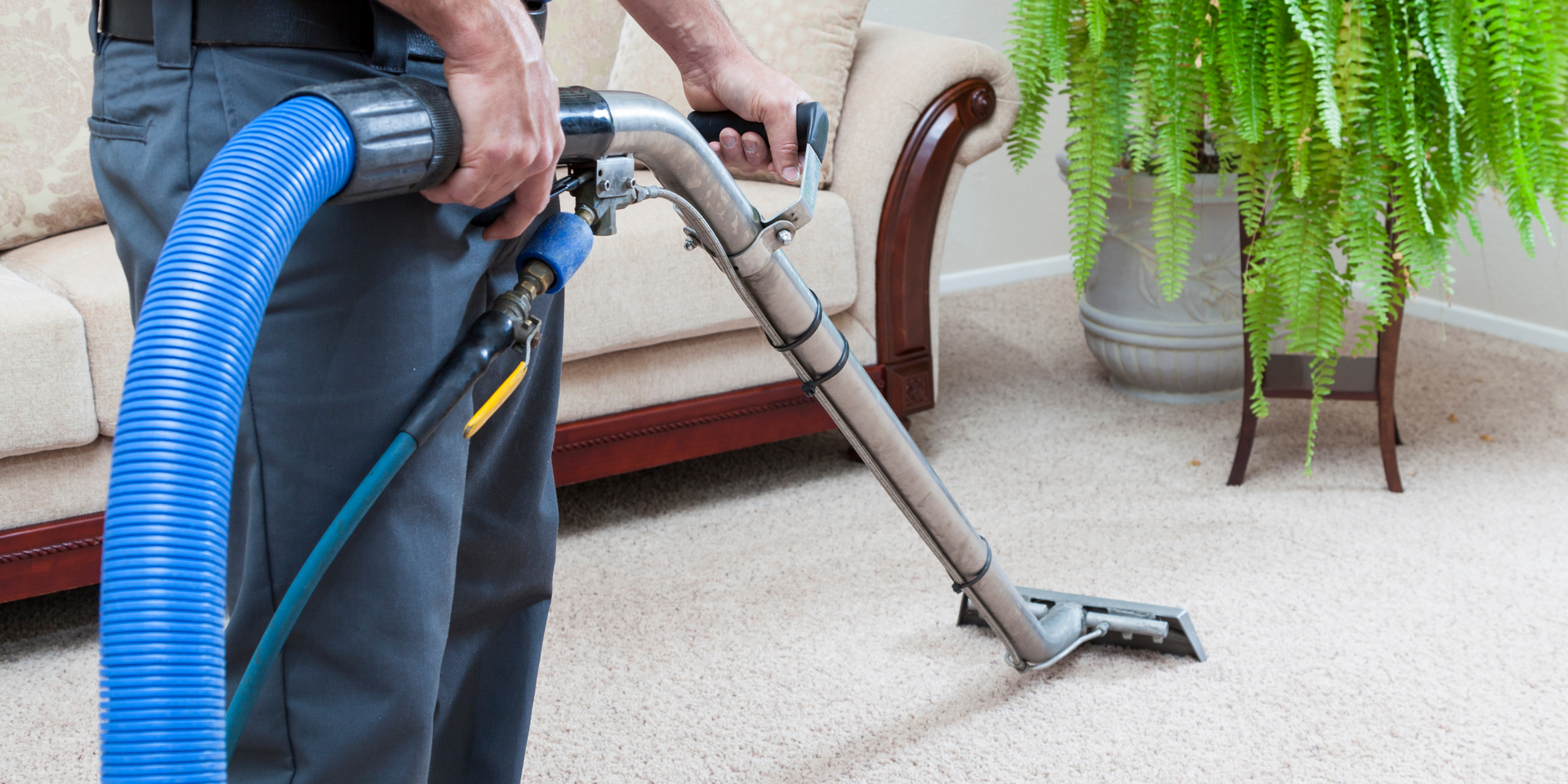 Person cleaning a carpet with an industrial cleaning machine in a room with a sofa and a potted plant.