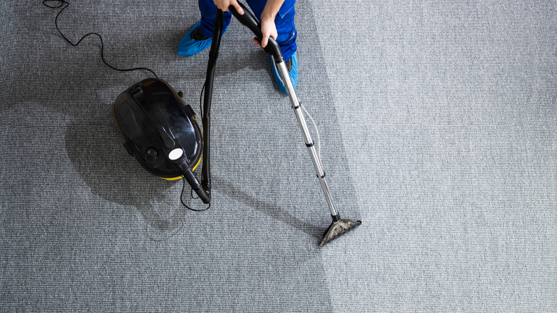 Person cleaning a carpet with an industrial cleaning machine in a room with a sofa and a potted plant.