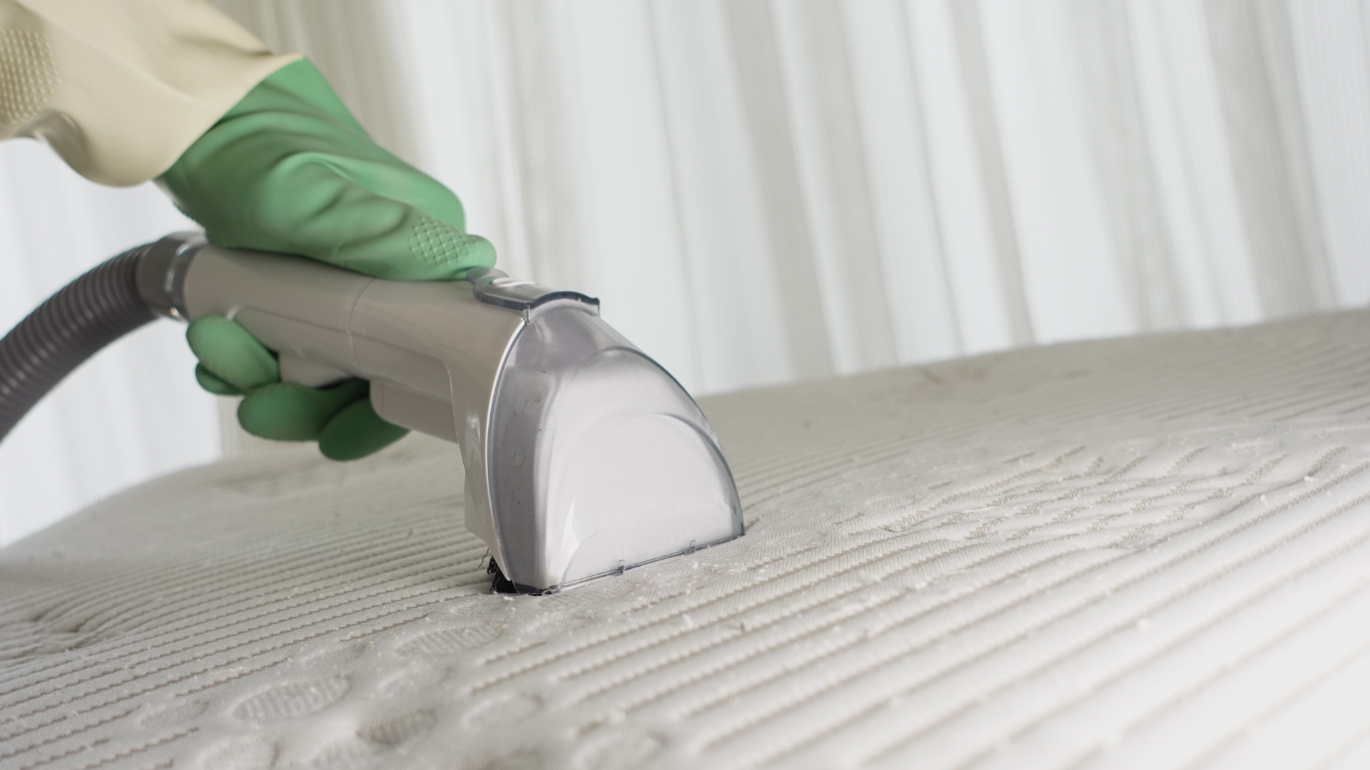 Person cleaning a carpet with an industrial cleaning machine in a room with a sofa and a potted plant.
