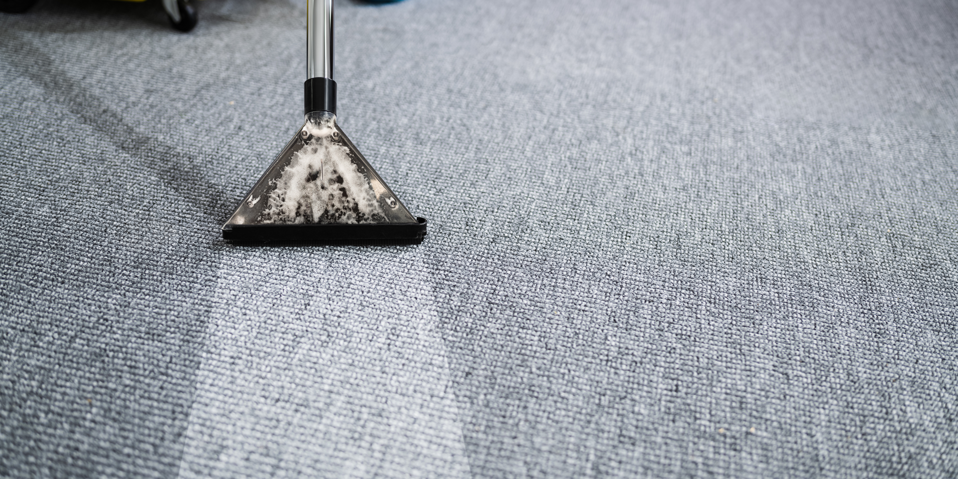 Carpet being cleaned with a carpet cleaner; the area cleaned is lighter than the dirty area.
