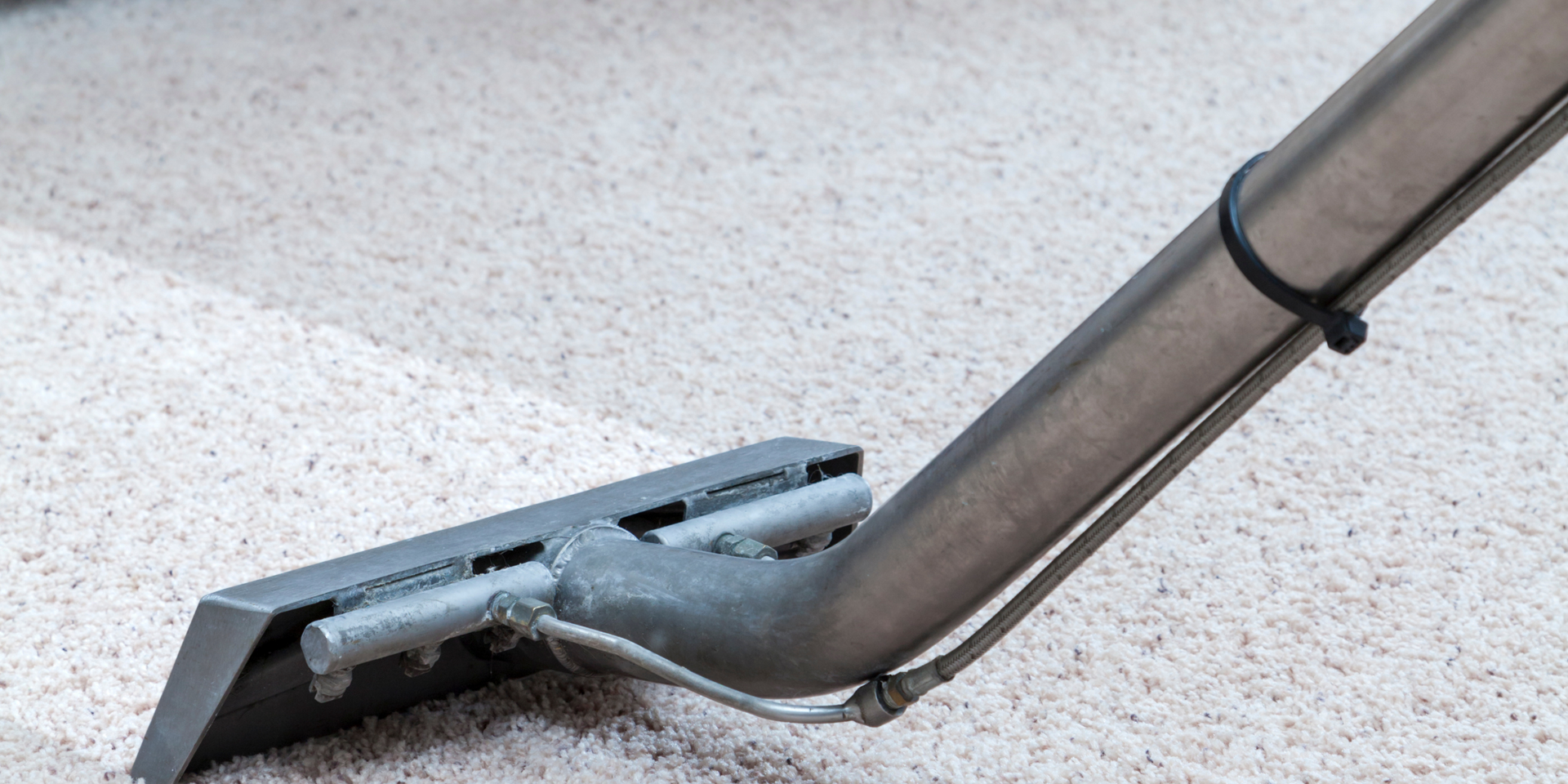 Carpet cleaning head on carpet.