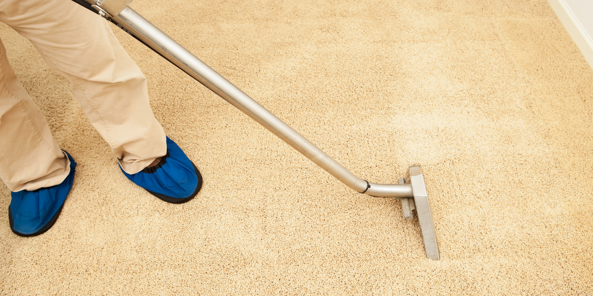 Person cleaning a beige carpet with a steam cleaner, wearing blue shoe covers.