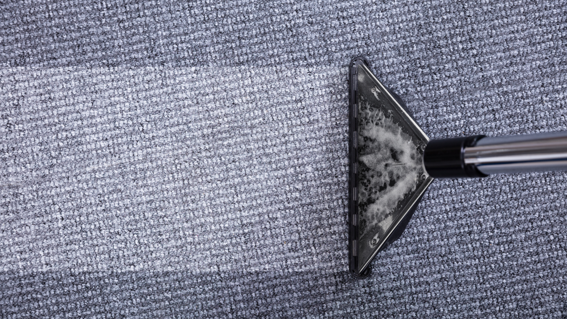 deep carpet cleaning